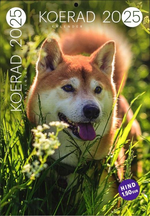 Koerad (Dogs)