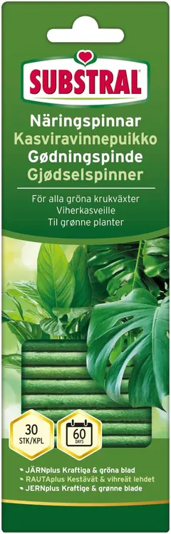 Substral Kasviravinnepuikko viherkasveille 30 kpl