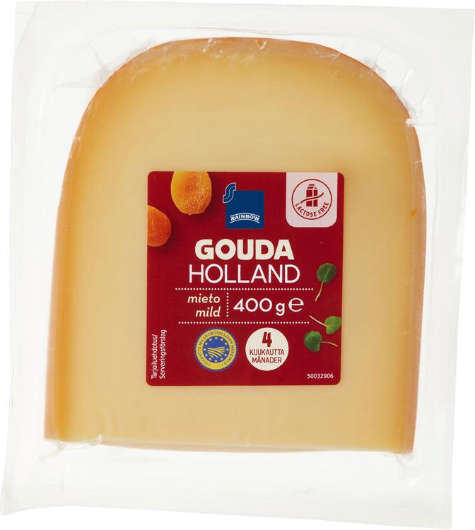 Rainbow Gouda Holland juusto mieto 4kk 400 g