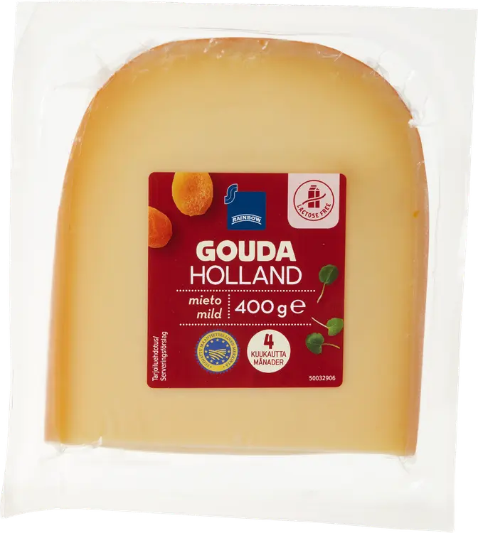 Rainbow Gouda Holland juusto mieto 4kk 400 g