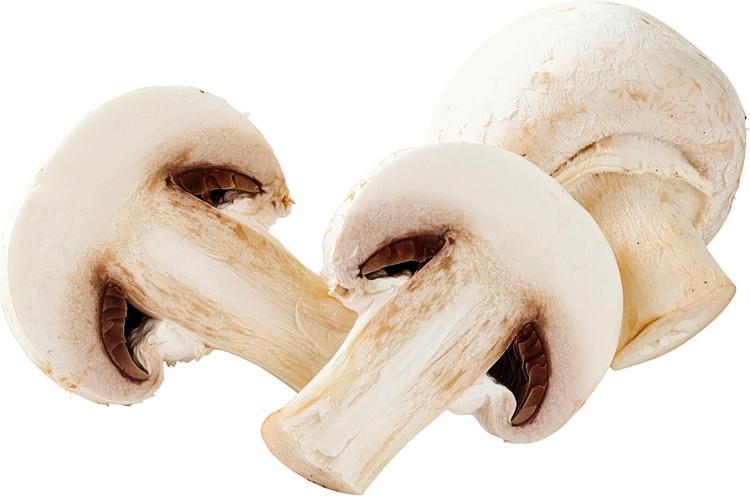 Jumbo herkkusieni