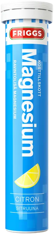 Friggs magnesium poretabletti 20kpl Sitruuna