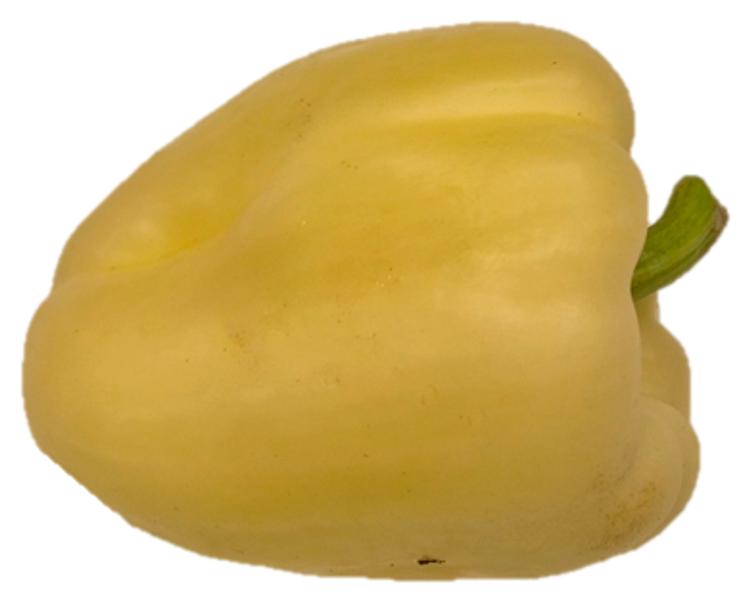 Paprika Valge I klass