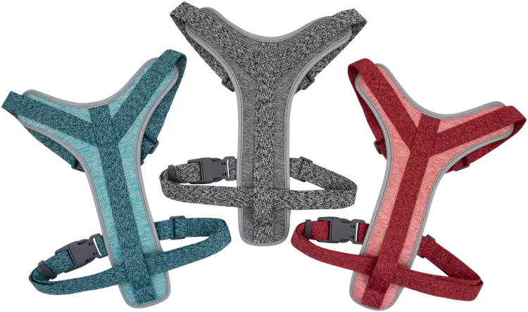 Best Friend Daily Walker koiran Y-valjas  S, 5-15 kg, 50-65 cm, värilajitelma