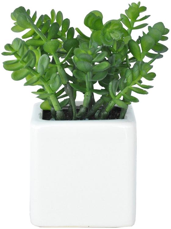 Mehikasvi ruukku 7x7x16 cm vihreä/valkoinen