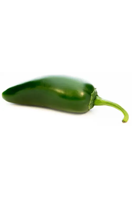 Jalapeno vihreä medium 5