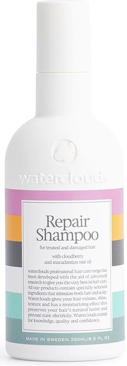 Waterclouds Repair Shampoo 250ml