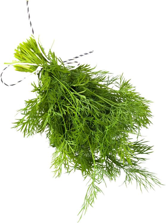 Tillinippu