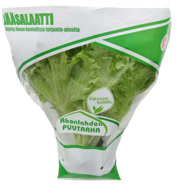 Akonlahden jääsalaatti ruukussa