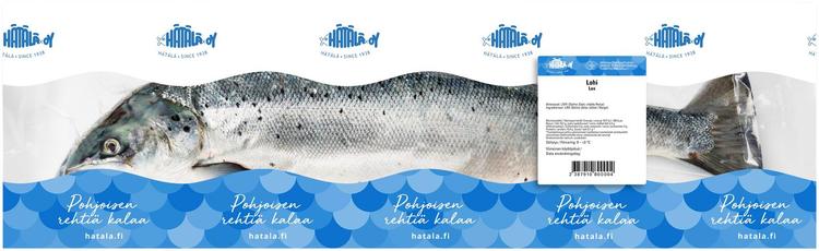 Hätälä Lohi 1-2kg