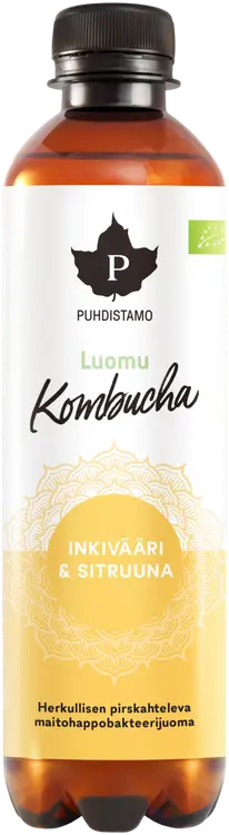 Puhdistamo Luomu Kombucha Inkivääri-Sitruuna 370 ml