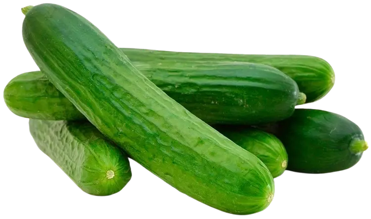 Luomu kurkku