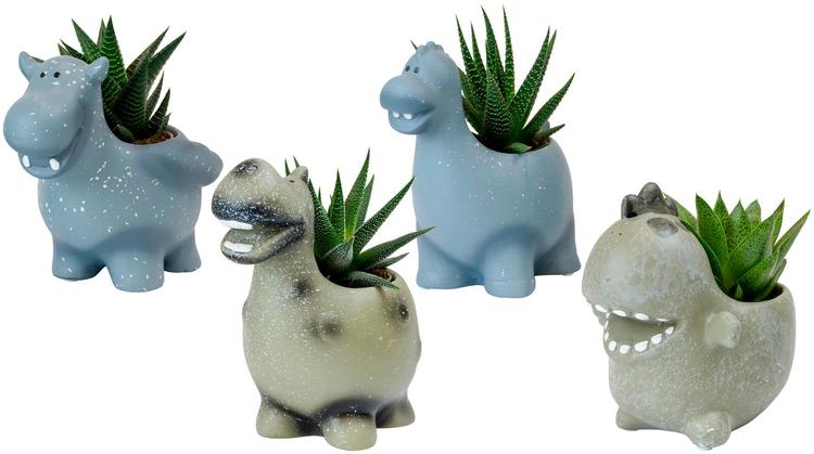 MINITAIM DINOSAURUS POTIS