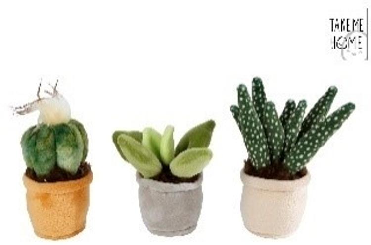 PEHME TAIMEKOMPLEKT 12-17 CM 3 TK