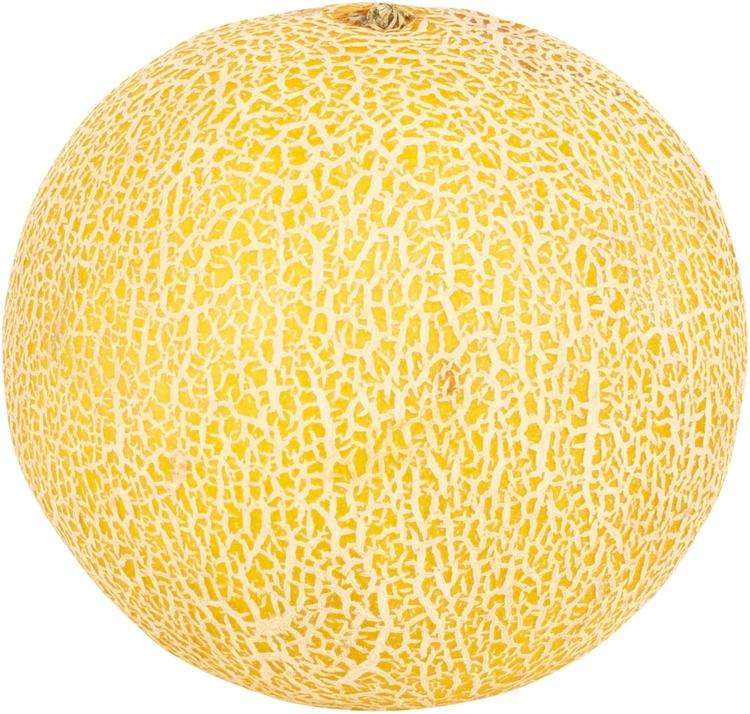 Galia-meloni