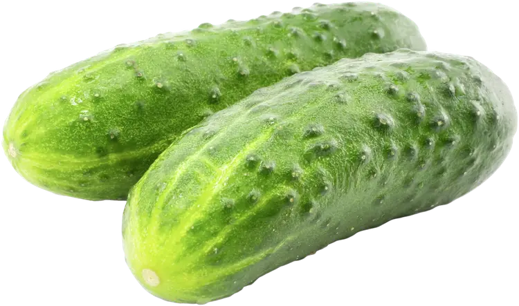 Kasvihuone avomaankurkku