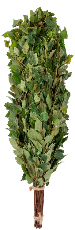Koivu saunavihta 245G Stinol