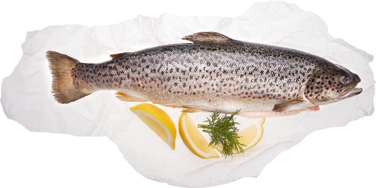 Hätälä Taimen