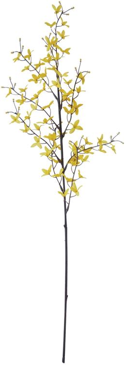 Onnenpensas oksa keltainen 74 cm