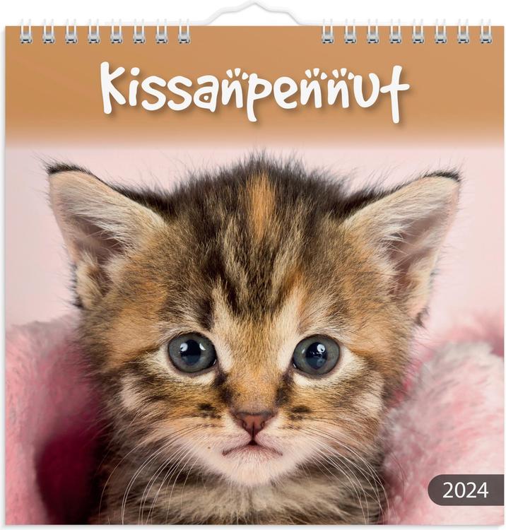 Burde seinäkalenteri 2024 Kissanpennut