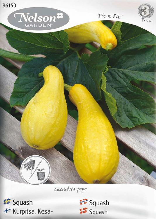 Nelson Garden Siemen Kurpitsa, Kesä-, Zucchini/Pic n Pic