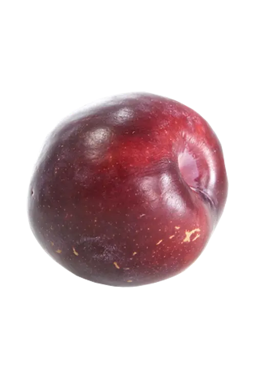 Luumu tumma