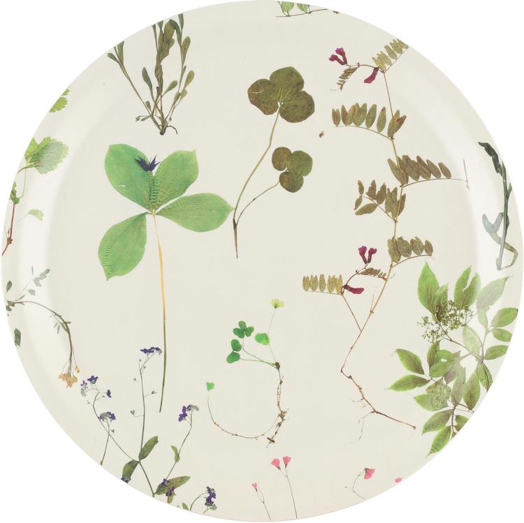 Ivana Helsinki home Tarjotin Herbario valkoinen 33 cm