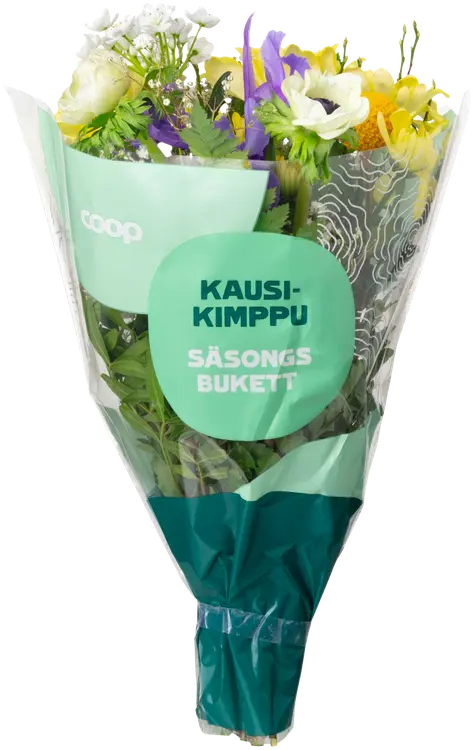 Coop Kausikimppu, lajitelma, 10-16 oksaa 40cm