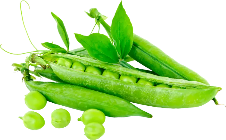 Hernerasia 450g
