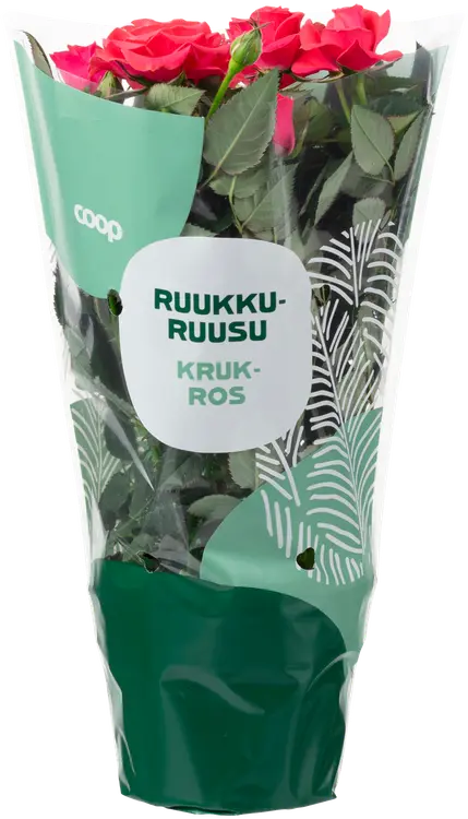 Coop Ruukkuruusu, värilajitelma