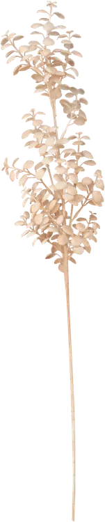 Teko-oksa Shell 75 cm