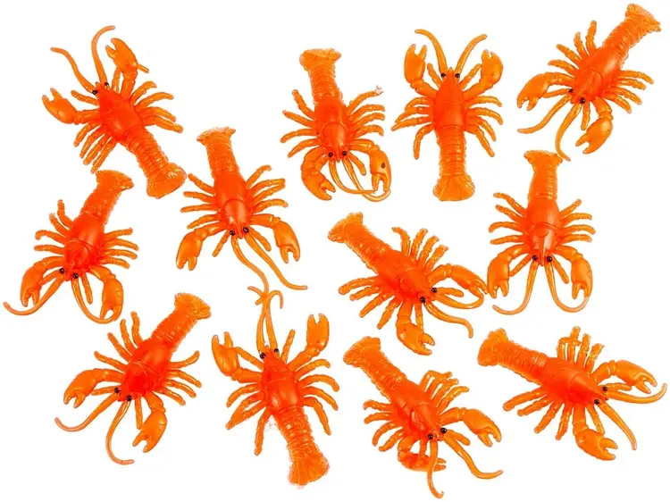 Rapu koriste 5,5 cm 12 kpl/pkt