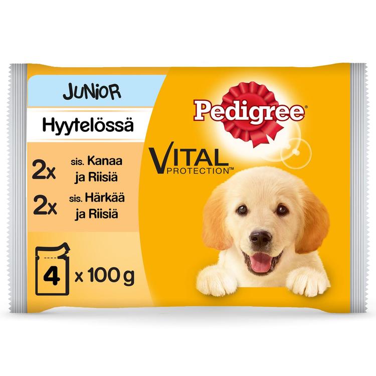 Pedigree Junior hyytelölajitelma 4x100g