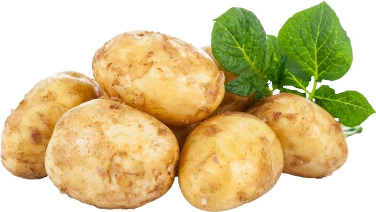 Varhaisperuna pesty