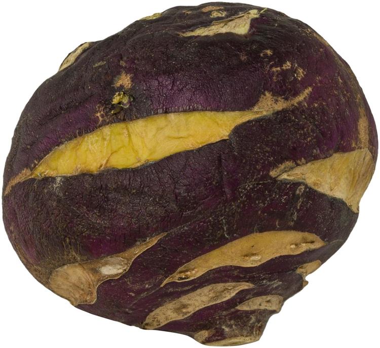KYSSÄKAALI