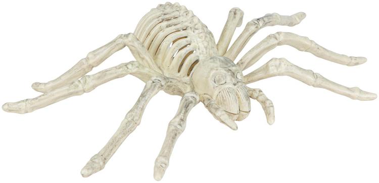 Halloweeni skelett ämblik