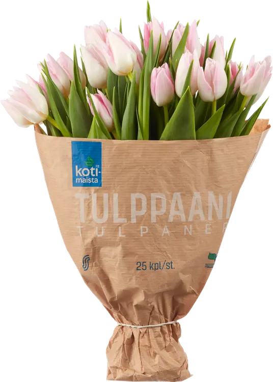 Kotimaista tulppaani 25 kpl, lajitelma, paperikääre