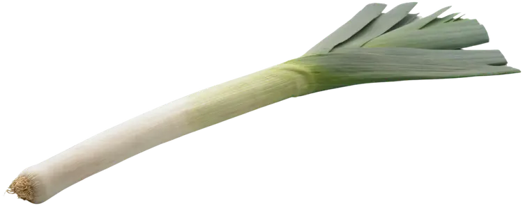 Purjo