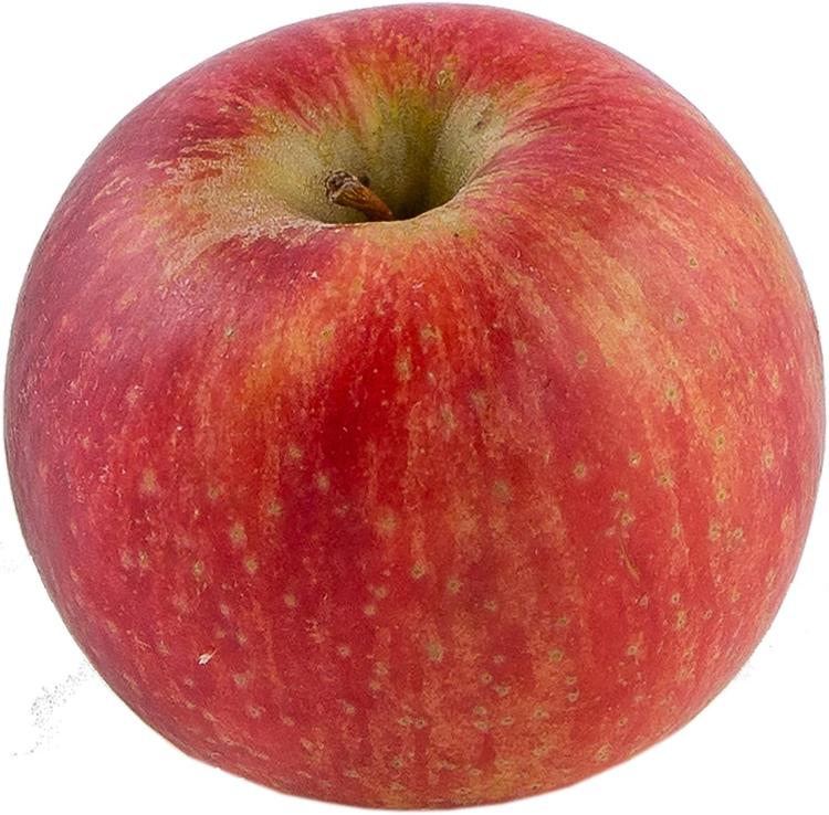 Omena Cripps Red