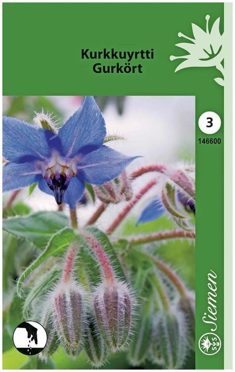 Kurkkuyrtti (Borago) 1-V