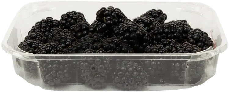 Karhunvadelma 150g, Vilppulan Tila