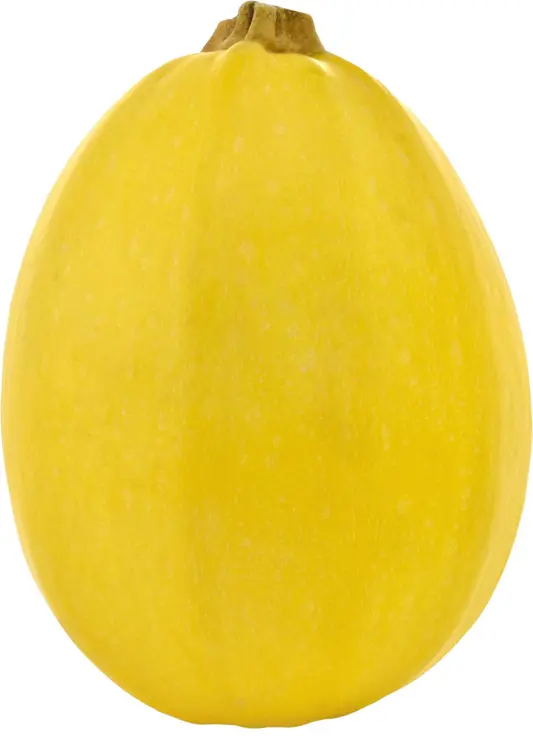 Spagettikurpitsa Suomi