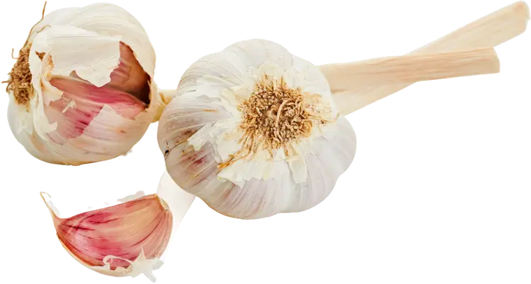 Valkosipuli luomu