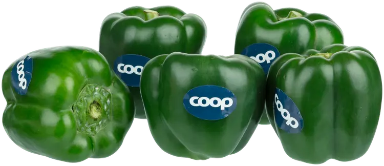COOP Paprika vihreä pakattu