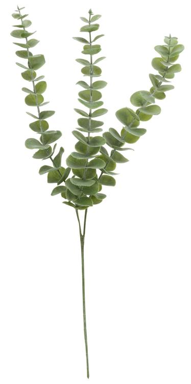 Teko-oksa eukalyptus 60 cm