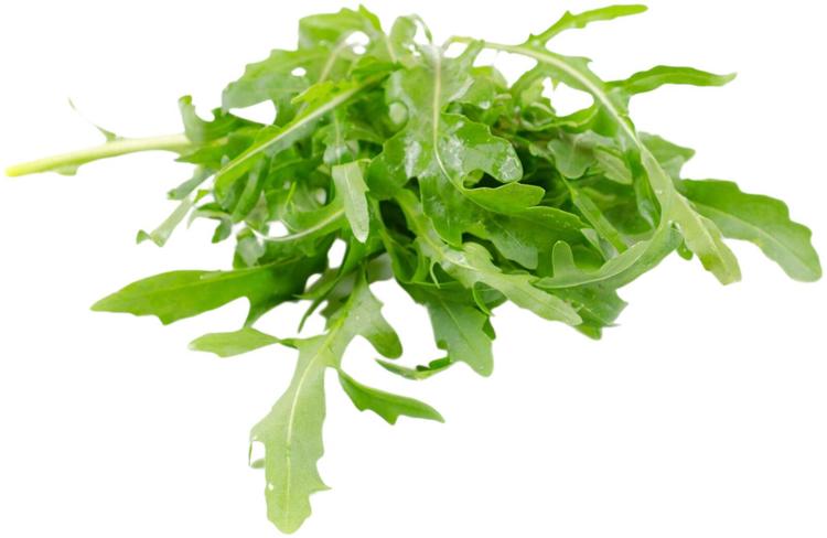 VILLIRUCOLA