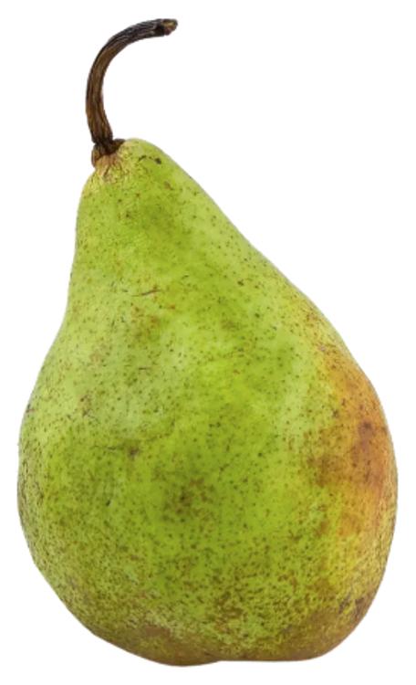Pirn Xenia I klass