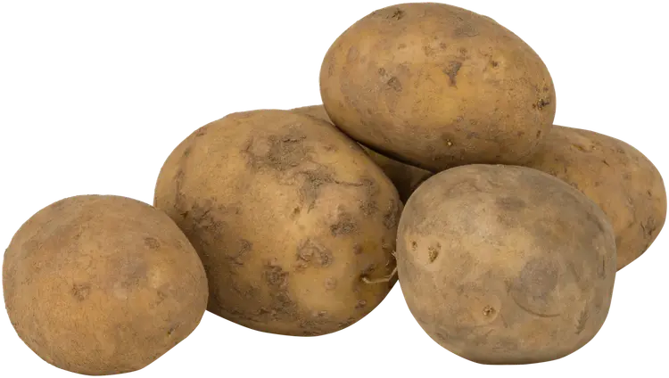 Kiinteä peruna harjattu