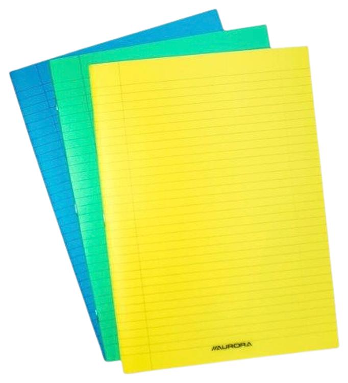 Kaustik a 4 36 lehte,plastkaantega, joon