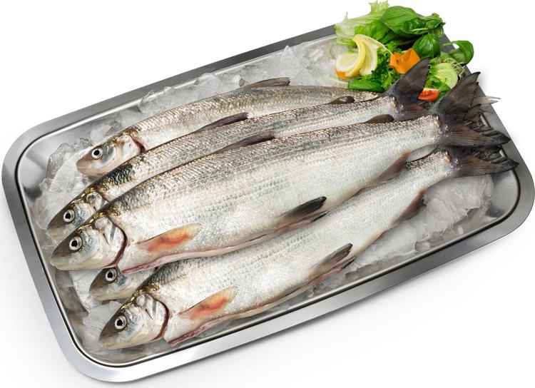 Siika